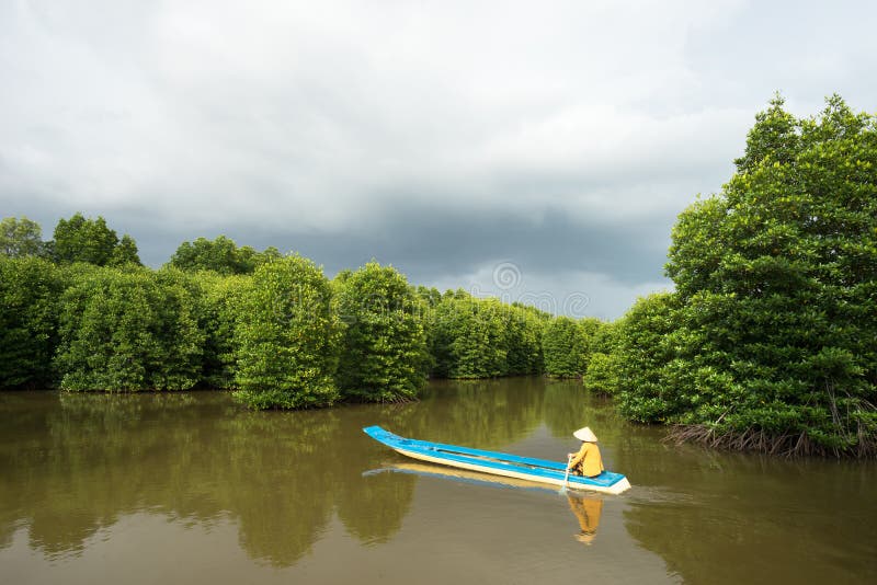 Mangrove forest with fishing boat in Ca Mau province, Mekong delta, south of Vietnam. Mangrove forest with fishing boat in Ca Mau province, Mekong delta, south of Vietnam.