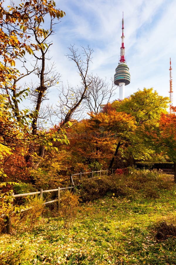 Namsam Tower emerging from autumn colored forest in Namsam Park, Seoul, South Korea. Vertical view stock photo Namsam Tower emerging from autumn colored forest in Namsam Park, Seoul, South Korea. Vertical view stock photo