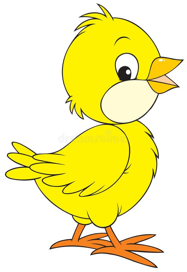 The clip-art of the small yellow chick. The clip-art of the small yellow chick