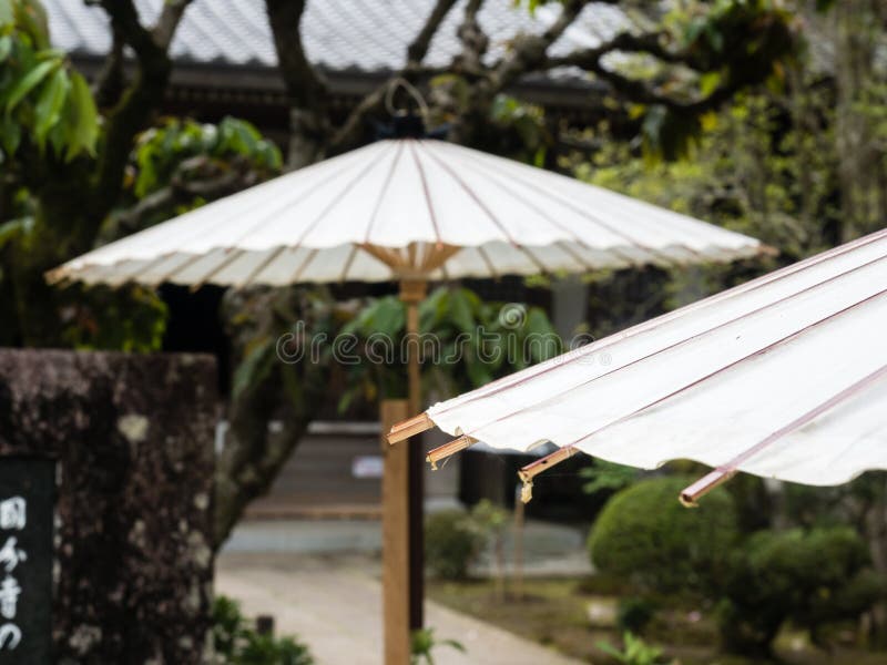 Shikoku Umbrella Shikoku Umbrella