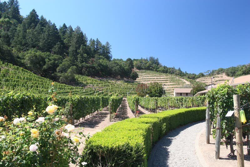Napa Valley Winery stock image. Image of beautiful, america 9209891