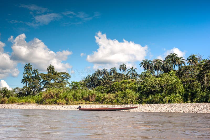 Napo River. Ecuador royalty free stock image