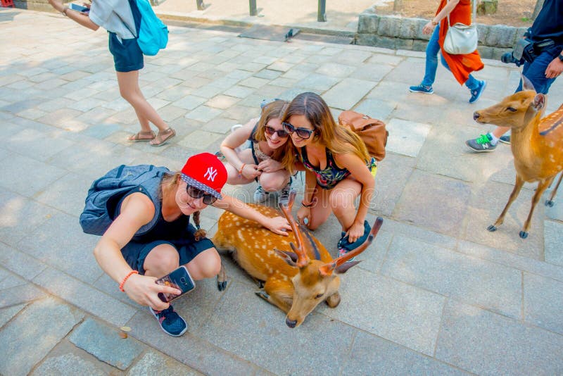 Nara, Giappone - 26 luglio 2017: Chiuda su delle donne non identificate che prendono un selfie di un cervo selvaggio a Nara, Giap immagine stock libera da diritti