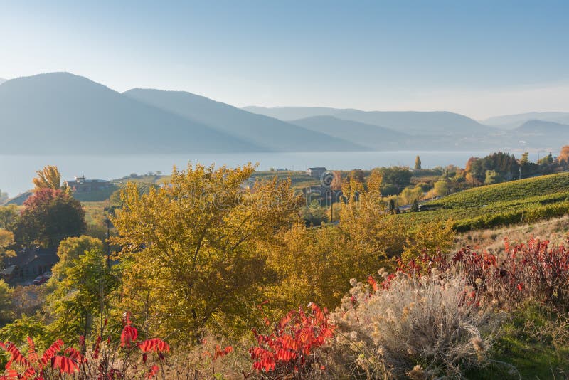 Naramata Bench, Okanagan Lake and mountains landscape with fall colors