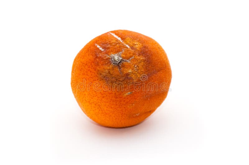 Naranja podrida fotos de archivo libres de regalías