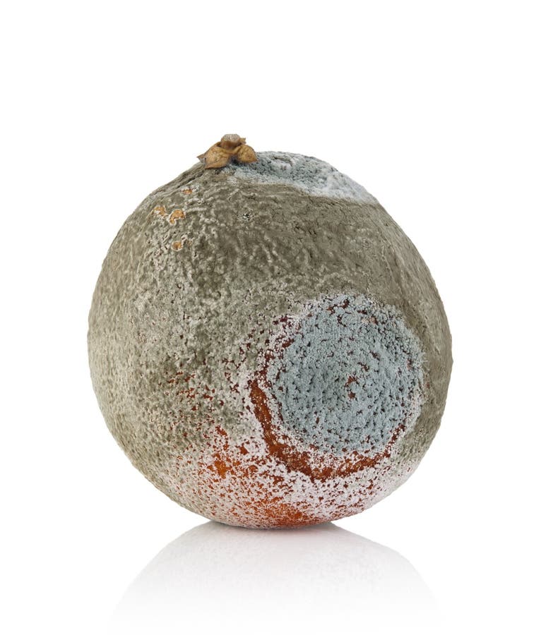 Naranja podrida imagenes de archivo