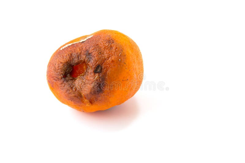 Naranja putrefacta foto de archivo