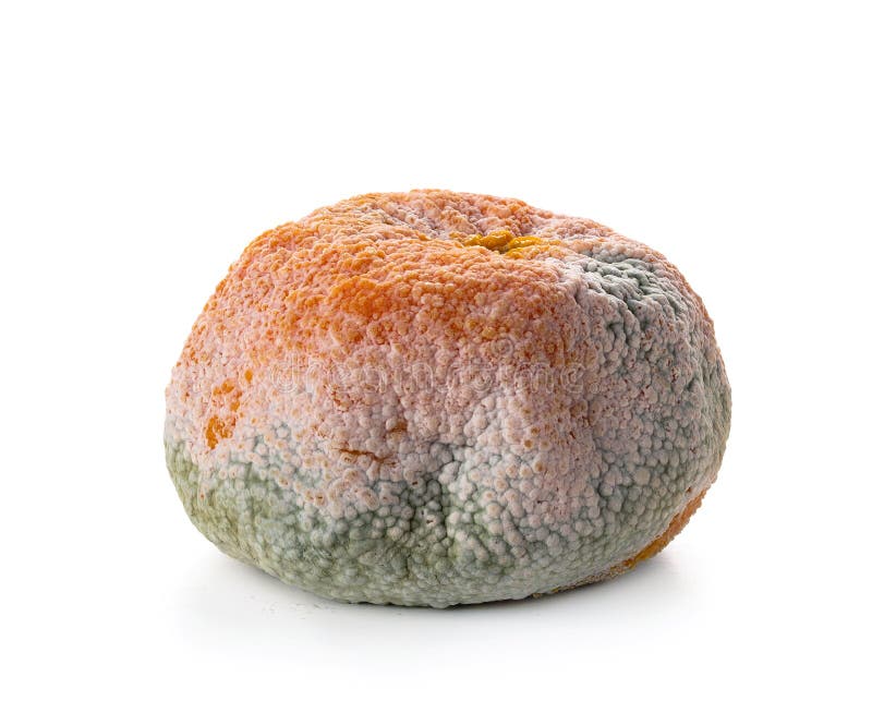 Naranja podrida sobre blanco imagen de archivo