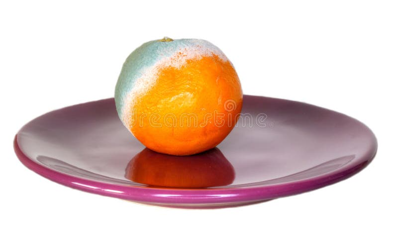 Naranja putrefacta en la placa foto de archivo