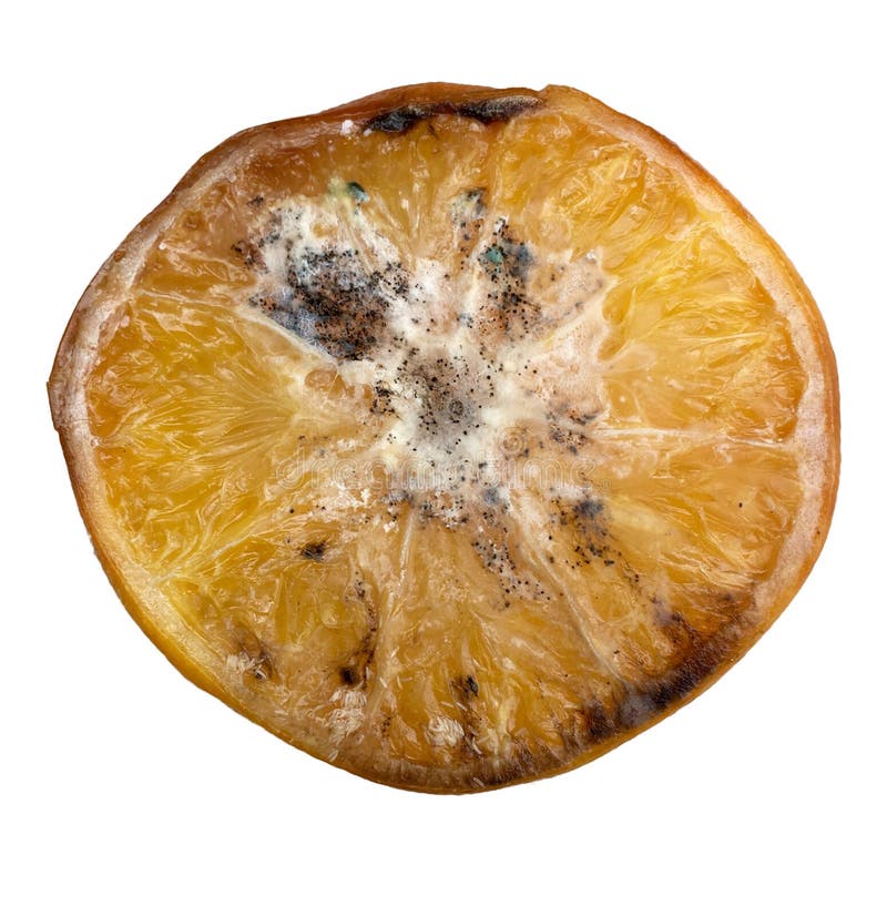 Naranja podrida cortada por la mitad en primer plano foto de archivo libre de regalías