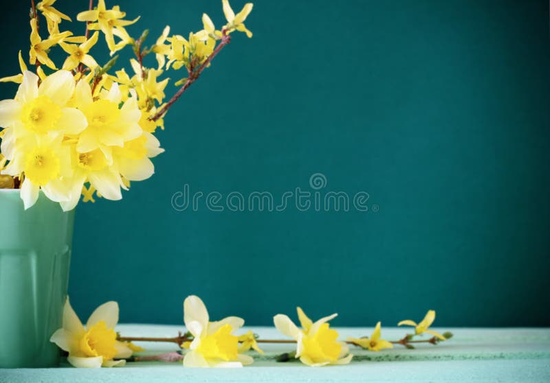 Daffodil in vase on green background. Daffodil in vase on green background
