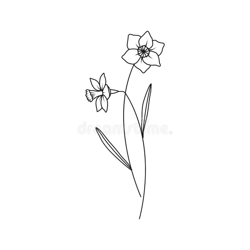 Frog Blue Orch  December Birth Flower Tattoo  Free Transparent PNG  Clipart Images Download