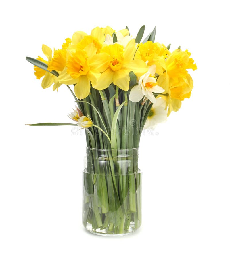 Narcissus flower bouquet stock photo. Image of bank, narcissus 25039366