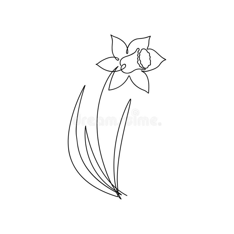 Narcissus one line drawing. Continuous line flower. Hand-drawn minimalist illustration. stock illustration