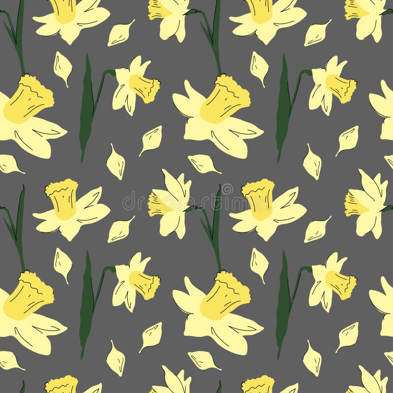 Daffodil Transparent Background Stock Illustrations – 101 Daffodil ...