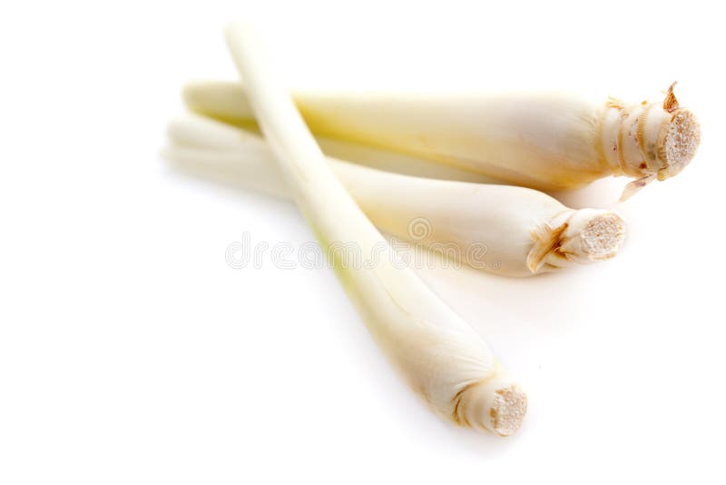 Capim-limão imagens de stock royalty free