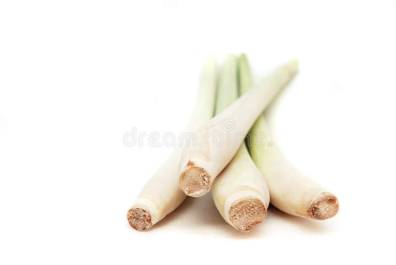 Erva-limão imagens de stock royalty free