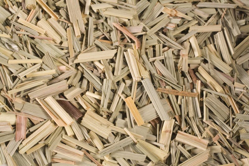 Capim-limão fotografia de stock