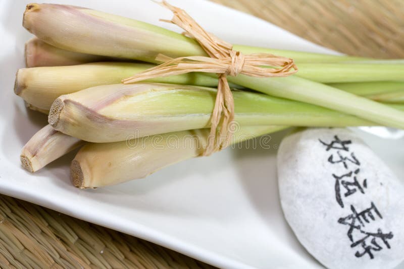 Capim-limão fotos de stock royalty free