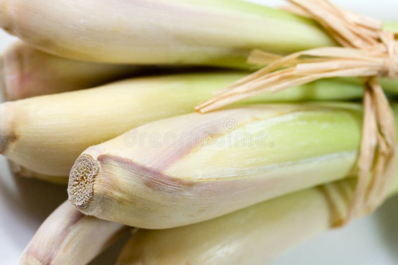 Erva de limão foto de stock royalty free