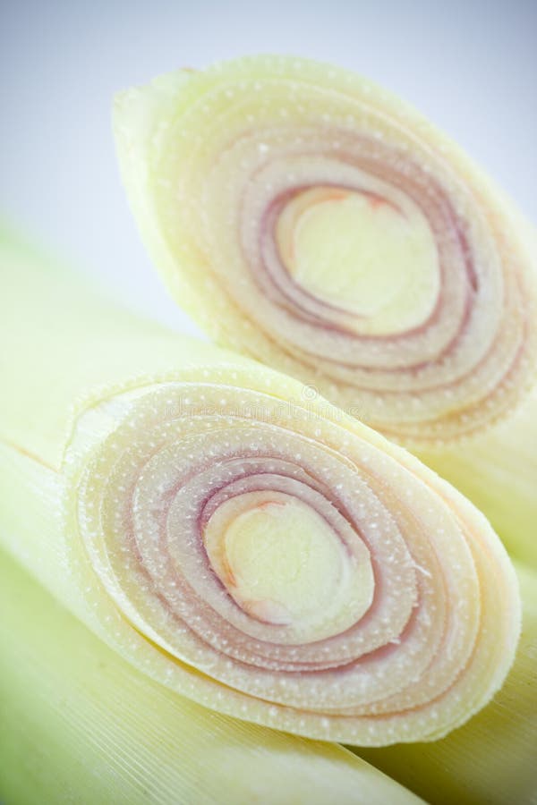 Capim-limão fotografia de stock royalty free