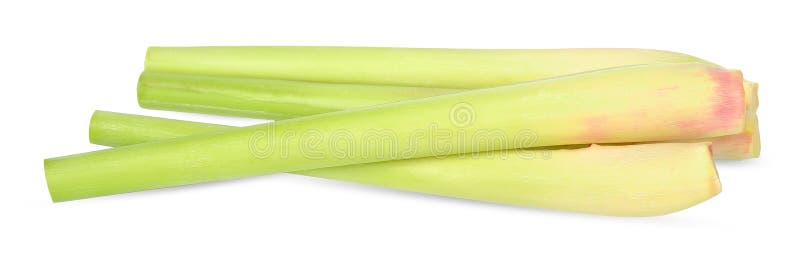 Nardo isolado em branco com trajeto de grampeamento foto de stock royalty free