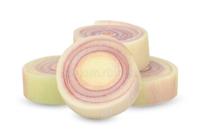 Capim-limão isolado sobre fundo branco com contorno de recorte foto de stock royalty free