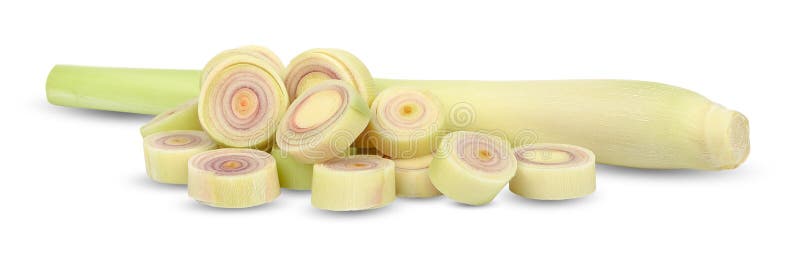 Nardo isolado no trajeto de grampeamento branco fotografia de stock