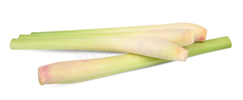 Nardo isolado no trajeto de grampeamento do whtie fotos de stock royalty free