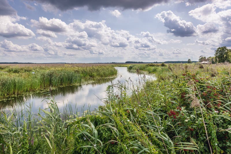 Narew National Park in Poland