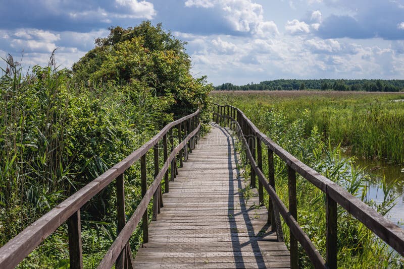 Narew National Park in Poland