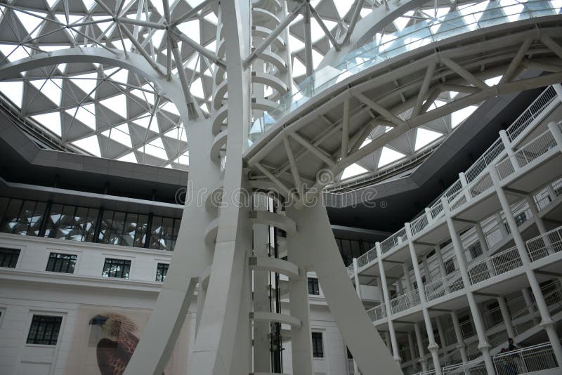 Narodowe muzeum historii naturalnej drzewo konstrukcji życiowej w manili philippines zdjęcia stock