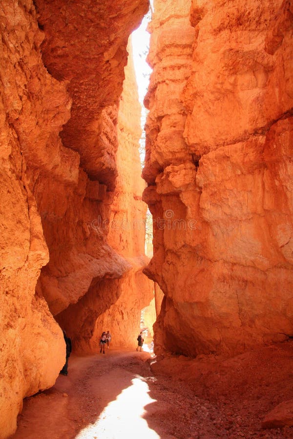 Narrow Canyon of Bryce