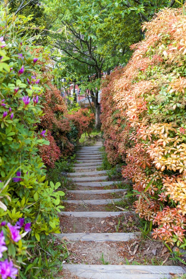 Narrow walkway in lush colorful garden royalty free stock images Narrow walkway in lush colorful garden royalty free stock images