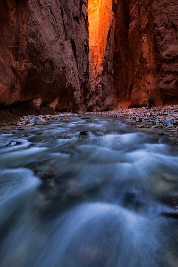 The Narrows and Virgin River in Zion National Park