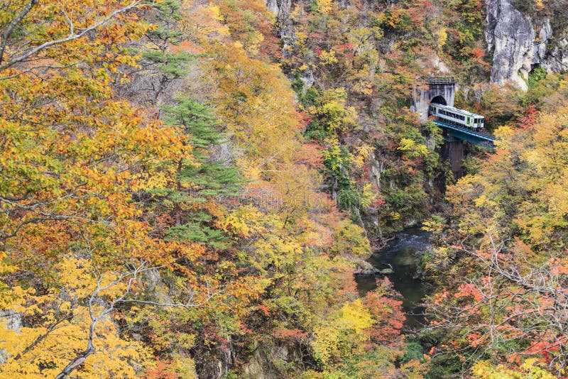 Naruko Gorge Autumn leaves in the fall season, Japan