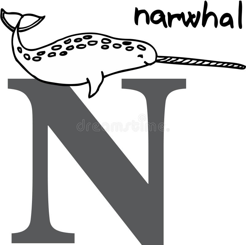 narwhal alfabetdjur n