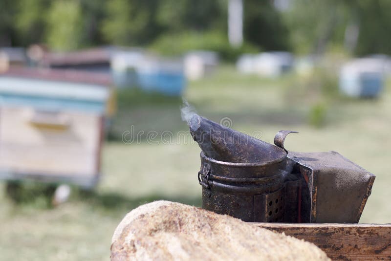 Narzędzie dla dymić pszczoły od roju w pasiece Dymów komesi od pasieki wyposażenia Beekeeping naturalny fotografia royalty free Narzędzie dla dymić pszczoły od roju w pasiece Dymów komesi od pasieki wyposażenia Beekeeping naturalny fotografia royalty free