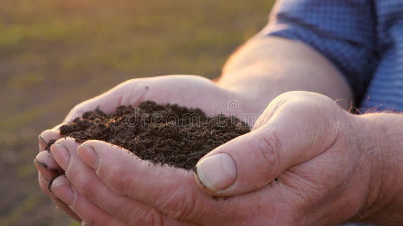 Nas mãos fortes do fazendeiro ele tem um punhado de terras férteis. o conceito de agronegócios agrícolas. a