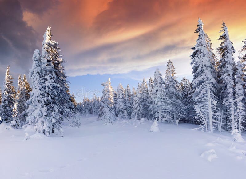 Beautiful winter sunrise in the mountains. Dramatic red sky. Beautiful winter sunrise in the mountains. Dramatic red sky