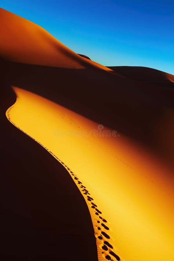 Nascer do sol da duna de areia, deserto de Sahara, Argélia imagem de stock royalty free Nascer do sol da duna de areia, deserto de Sahara, Argélia imagem de stock royalty free