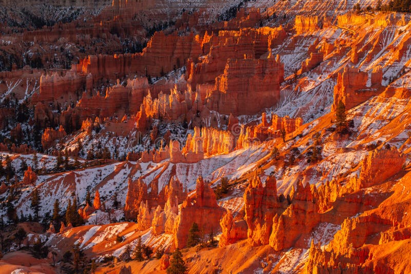 Nascer do sol em Bryce Canyon, Utá imagens de stock Nascer do sol em Bryce Canyon, Utá imagens de stock