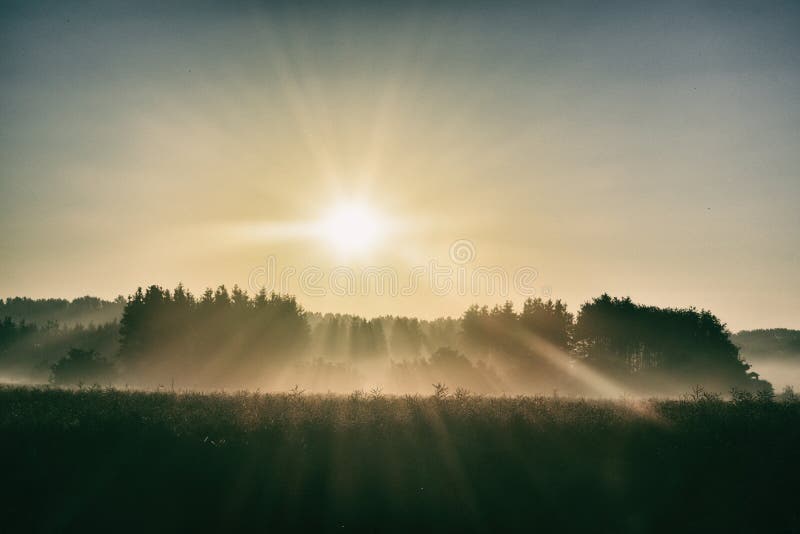 Nascer do sol mágico sobre a floresta fotos de stock royalty free Nascer do sol mágico sobre a floresta fotos de stock royalty free