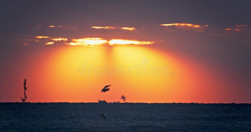 Nascer do sol sobre o horizonte do mar e ondas ondulantes o pôr do sol dos oceanos tropicais e barco à vela com aves voadoras sobr