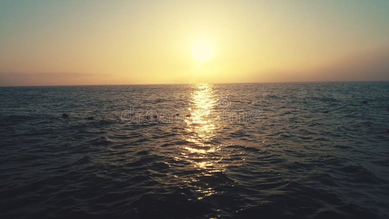 Nascer do sol sobre a água do mar Ondas da ondinha e patos nadadores do litte