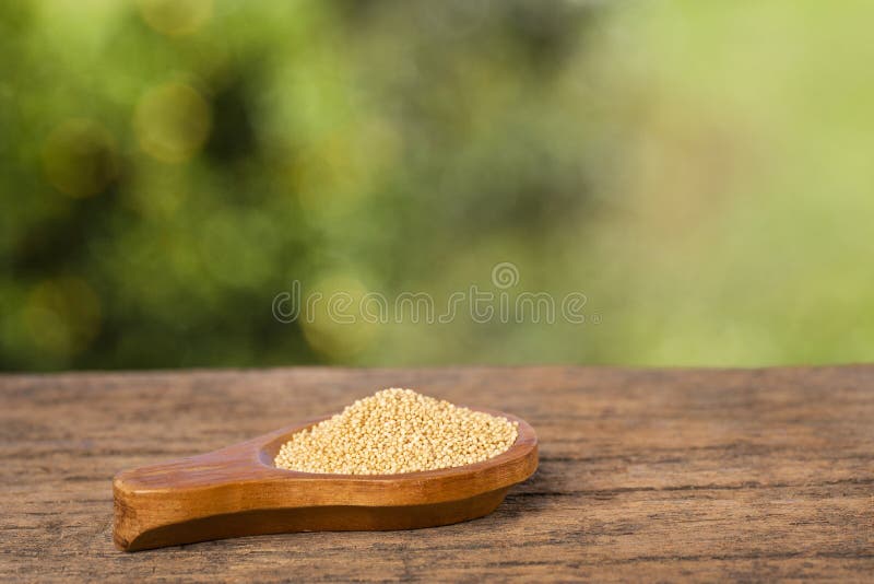 Nasiona amaranu organicznego. drewniany stół w parku wśród drzew w letni dzień amaranthus zdjęcia royalty free