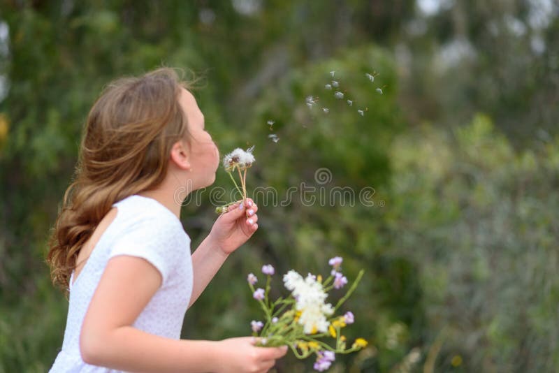 Nastolatek dziewczyny podmuchowy dandelion zdjęcia royalty free Nastolatek dziewczyny podmuchowy dandelion zdjęcia royalty free