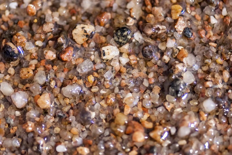 High quality macro photo of a wet beach sea sand, truly close up view on every tiny sand grain. Watch at the sand like at stones/rocks. Sharp image with low noise and good colors. Interesting texture for different design purposes. High quality macro photo of a wet beach sea sand, truly close up view on every tiny sand grain. Watch at the sand like at stones/rocks. Sharp image with low noise and good colors. Interesting texture for different design purposes.