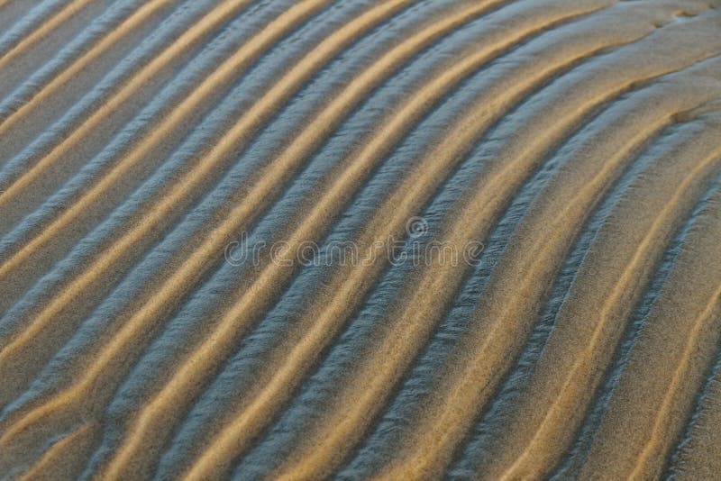 Wet sand surface at the sea. Wet sand surface at the sea.