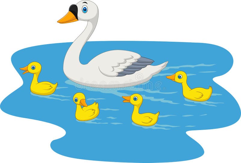 Natación de la familia del cisne de la historieta en la charca ilustración del vector Natación de la familia del cisne de la historieta en la charca ilustración del vector